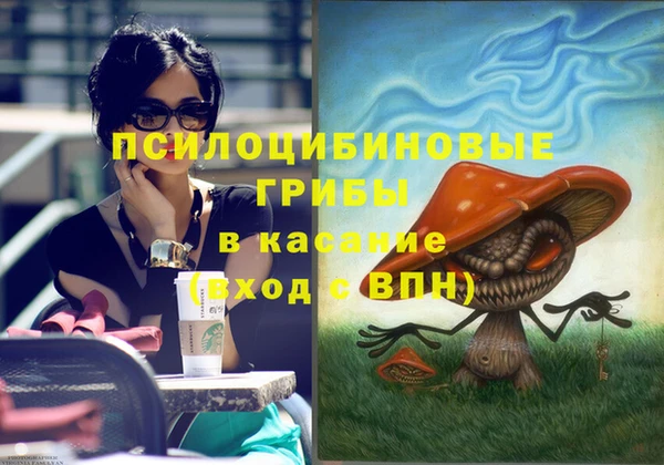 бошки Алексеевка