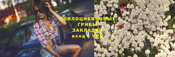 бошки Алексеевка